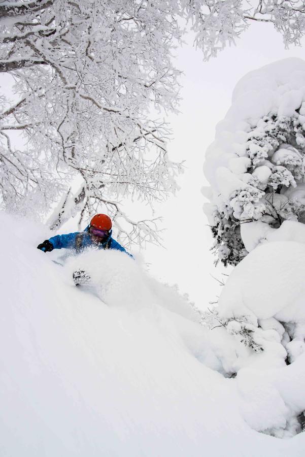 Lodge Morino -