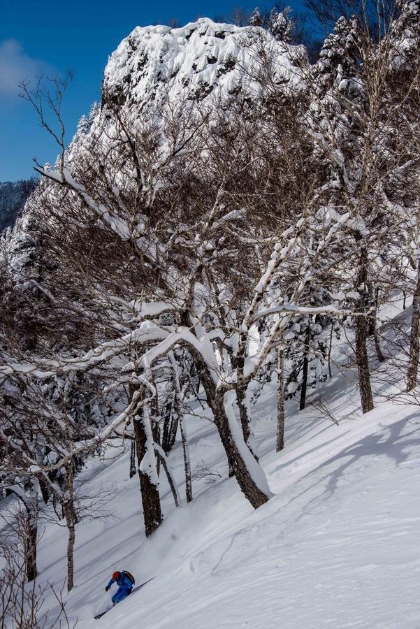 Morino -
